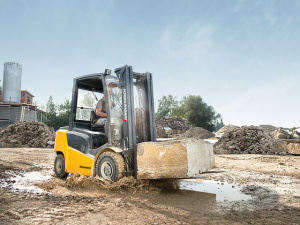 Neuer_Wandler_0076-cropped